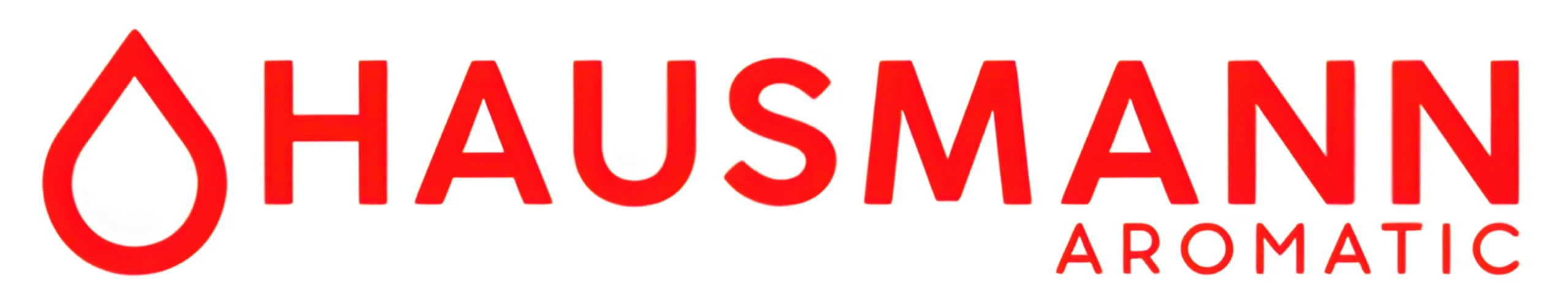 Logo hausman